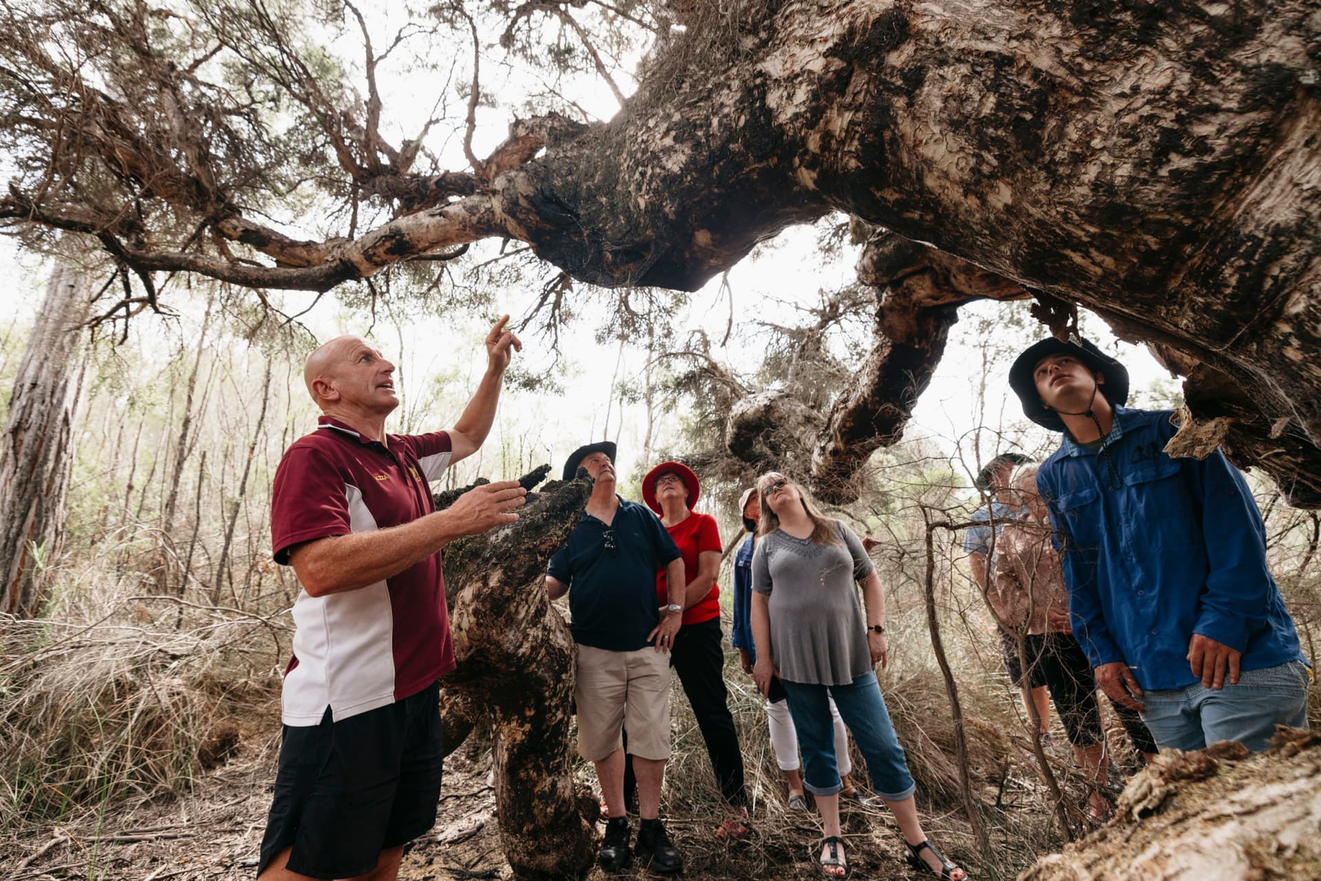 WOW Wilderness - EcoCruise - image 6